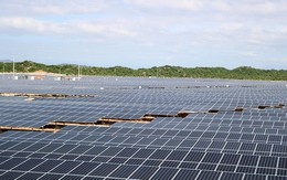 Doanh nghiệp năng lượng tái tạo của đại gia kín tiếng tại Ninh Thuận báo lãi tăng 800% nửa đầu năm 2023