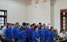 Tạm dừng xét xử anh em 'đại gia lan đột biến' và Châu Thị Mỹ Linh