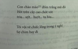 Thêm một bài thơ trong SGK lớp 6 trở thành tâm điểm tranh cãi: "Triu… uýt… huýt… tu hìu…" là gì?