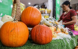 Khách lùng mua trang trí Halloween, bí ngô đủ loại cháy hàng