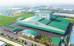 GreenFeed kinh doanh ảm đạm, nợ phải trả hơn 5.500 tỷ đồng