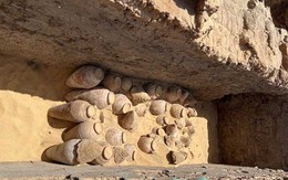 Ai Cập phát hiện kho rượu vang cổ 5.000 năm tuổi tại tỉnh Sohag