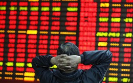 Sau 2 năm gồng lỗ, một "đại gia mỏ đá" đã bán hết hơn 2,6 triệu cp HPG