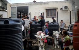 Cách người đàn ông và con lừa giúp người dân Gaza khỏi chết khát giữa vòng vây của quân đội Israel