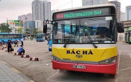 Ngân hàng rao bán 37 xe bus Bắc Hà để xử lý nợ xấu