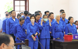 Thu lời bất chính hàng trăm tỉ đồng, 2 "đại gia sinh đôi" lan đột biến lĩnh án 2-3 năm tù