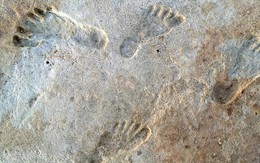 Tìm thấy dấu vết người đầu tiên khai phá Bắc Mỹ: 23.000 năm trước