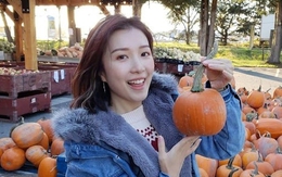 Loại quả dân dã tốt cho sức khỏe, càng ăn càng đẹp