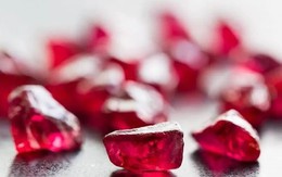 'Ruby đỏ' của Việt Nam ngon đến mức người Trung Quốc cũng phải tấm tắc khen: Xuất khẩu mỗi năm hàng trăm nghìn tấn, chất lượng tốt nhất thế giới