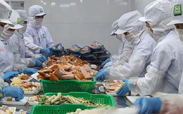 “Sức khỏe” ngành sản xuất phục hồi tích cực