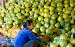 Được người Mỹ ưa chuộng hơn hàng 'made in China', loại quả 'bá vương' của Việt Nam làm mưa làm gió xứ cờ hoa, thu về hàng chục triệu USD