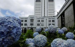 Vụ "cướp" ngân hàng cực lớn không thể tin nổi ở Costa Rica