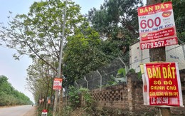 "Nhà đầu tư bất động sản đã mạnh tay xuống tiền khi nhận thấy bình minh thị trường dần ló rạng"
