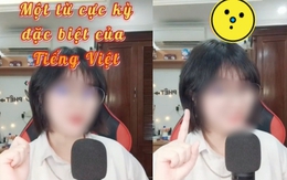 Từ tiếng Việt đến người Việt cũng phải "lú" vì có 7749 cách dùng: Ai biết hết chắc ngày xưa học giỏi lắm!