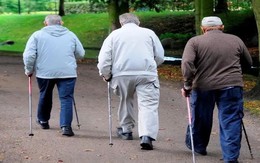 Sau 65 tuổi vẫn có 3 "sở thích" này thì cơ thể còn sung sức, khỏe hơn tập thể dục