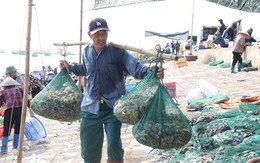 Tấp nập mua bán ở chợ cá Nam Định lúc sáng sớm
