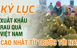 Kỷ lục xuất khẩu rau quả Việt Nam cao nhất từ trước tới nay