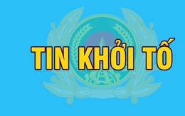 Khởi tố Giám đốc Công ty truyền thông, nhân viên Văn phòng Đăng ký đất đai, ngân hàng