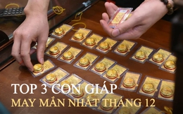 Tử vi tháng cuối cùng của năm 2023 dương lịch: 3 con giáp dễ "bắt được vàng", có cái tết ấm no