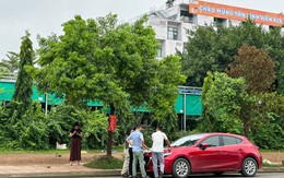 Nhà đầu tư bất động sản bắt đầu đi “săn” hàng cuối năm