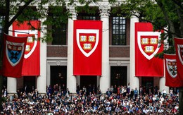 Nghi vấn Đại học Harvard có 'cửa sau' cho con nhà giàu 'học dốt', là suất cực VIP, mỗi năm chỉ có 60 sinh viên