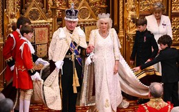 Một nghị sĩ bị bắt cóc khi Vua Charles III tới tham dự lễ khai mạc Quốc hội Anh: Chuyện gì đã xảy ra?