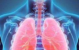 Những loại thực phẩm tốt cho phổi bạn nên biết