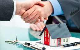 Chân dung công ty bất động sản vừa chi số tiền lớn mua cổ phần một ngân hàng: Mới thành lập, trực thuộc tập đoàn lớn hàng đầu Việt Nam