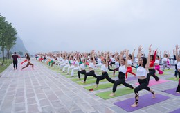 Sôi nổi Festival Yoga mùa Đông 2023 tại Tam Chúc