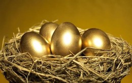 Thời buổi đầu tư khó khăn, những “con gà đẻ trứng vàng” vẫn âm thầm “dúi” cổ tức vào túi cổ đông, “ăn đứt” gửi tiết kiệm
