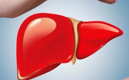 Tăng cường sức khỏe cho gan với 8 siêu thực phẩm này