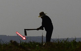 Lão nông tình cờ đào vật thể dài có cán, chuyên gia vừa nhìn liền phong tỏa cả cánh đồng