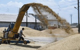 Nga có thể đạt mức xuất khẩu cao kỷ lục