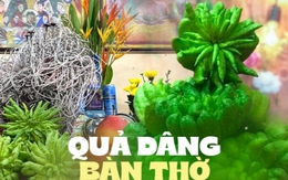 Lý do đặc biệt khiến nhiều người bày phật thủ trên bàn thờ ngày Tết