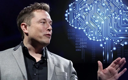 Những điều cần biết về dự án "cấy chip não" của Elon Musk