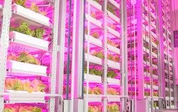 Cho robot đi… trồng rau, Trung Quốc lại gây ngỡ ngàng với trình độ công nghệ đỉnh cao khi ra mắt mô hình trang trại như ‘chung cư 20 tầng’ đầu tiên của thế giới