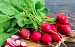 Ăn 5 loại rau này để giảm cholesterol xấu và bảo vệ sức khỏe tim mạch