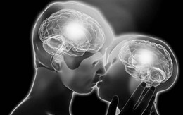 Tình yêu ảnh hưởng thế nào đến bộ não?