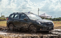 Subaru Forester 2023 giờ mới có mặt, sẵn sàng đến tay người tiêu dùng Việt Nam