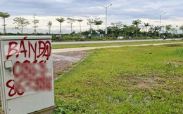 Vùng ven Hà Nội “đua nhau” đấu giá đất, giá khởi chỉ từ 10 triệu đồng/m2