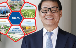 Hệ sinh thái khổng lồ của tỷ phú Trần Bá Dương sẽ vận hành thế nào năm 2023?