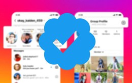 Thu 11,99 USD mỗi tháng, "tích xanh" mới của Facebook và Instagram có lợi gì?