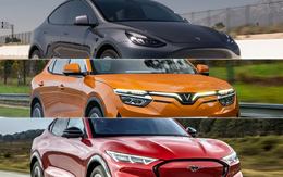 Bàn chuyện dừng xe xăng làm xe điện: Buông bỏ sớm là túng thiếu