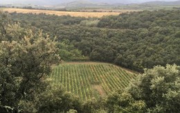 Phát hiện những hạt kim cương siêu nhỏ tại Pháp, dấu hiệu của vụ va chạm thiên thạch cổ đại