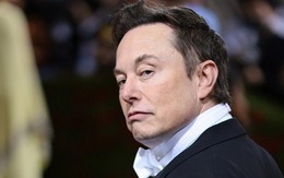 Elon Musk cần kết quả chứ không phải lòng trung thành, vừa sa thải thẳng tay nhân viên "chuyên cần" nhất Twitter