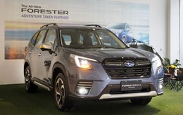 Bảng giá xe Subaru tháng 2: Subaru Forester nhận ưu đãi trị giá 14 triệu đồng