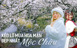 Đến Mộc Châu ngay để đón mùa hoa mận trắng đang nở rộ như tuyết đầu xuân