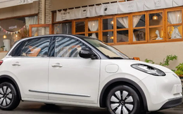 Lô ô tô điện giá rẻ chỉ 241 triệu đồng cập bến đại lý, no pin đi 312  km