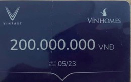 Voucher VinFast bất ngờ tăng giá mạnh, dân buôn rủ nhau gom hàng