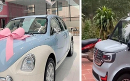 Sự thật về ô tô điện Trung Quốc giá chỉ vài chục triệu đồng rao bán trên mạng